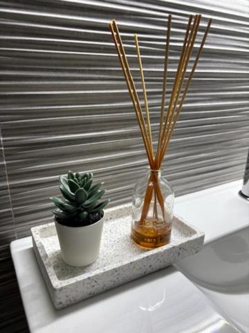 Apartment Loft Cinco *